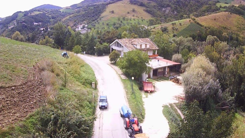 Immagine di Azienda Agricola Di Renzo a Fratte, Abruzzo