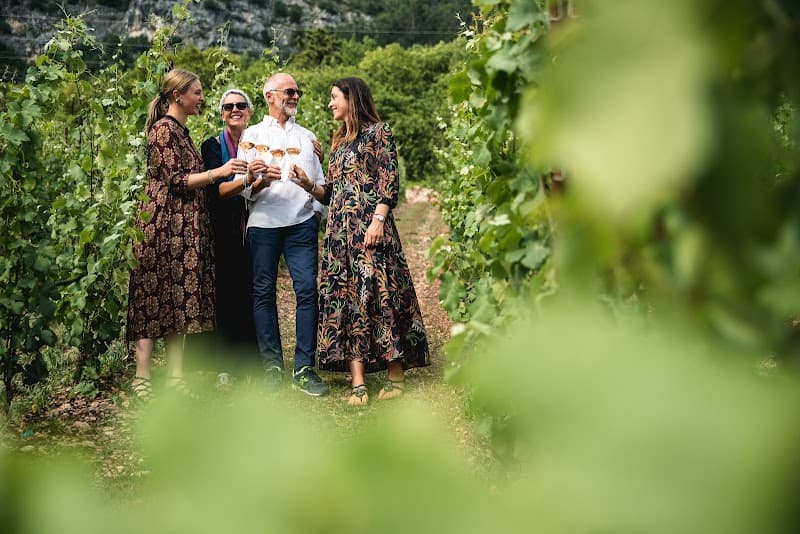 Immagine di Maso Martis Azienda Agricola Biologica - Trentodoc a Martignano, Trentino-Alto Adige