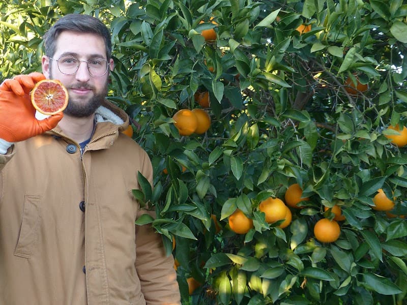 Immagine di Laudani - Sicilia Inside a Paternò, Sicilia
