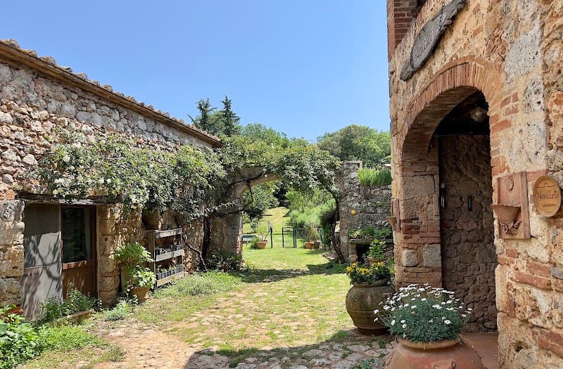 Immagine di Agriturismo Biologico Novelleto a Monteriggioni, Toscana