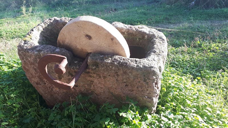 Immagine di Fattoria BioSortei a Dorgali, Sardegna