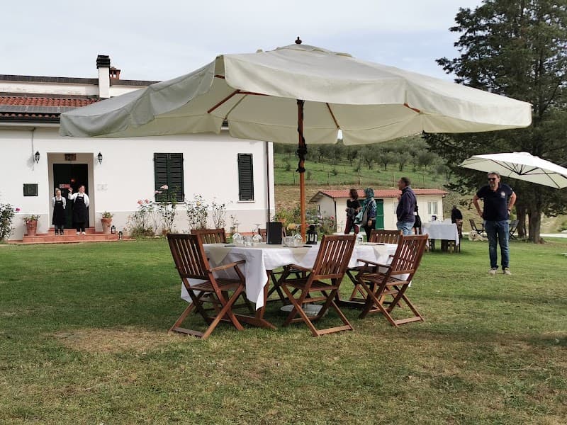 Immagine di Az.Agricola Helix Valdera a Pisa, Toscana