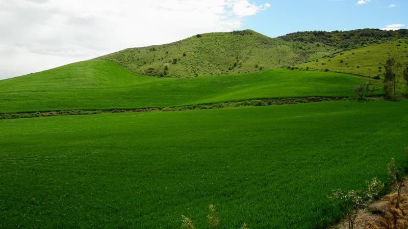 Immagine di Azienda Agricola Barbaro di Tramontana a Strongoli, Calabria