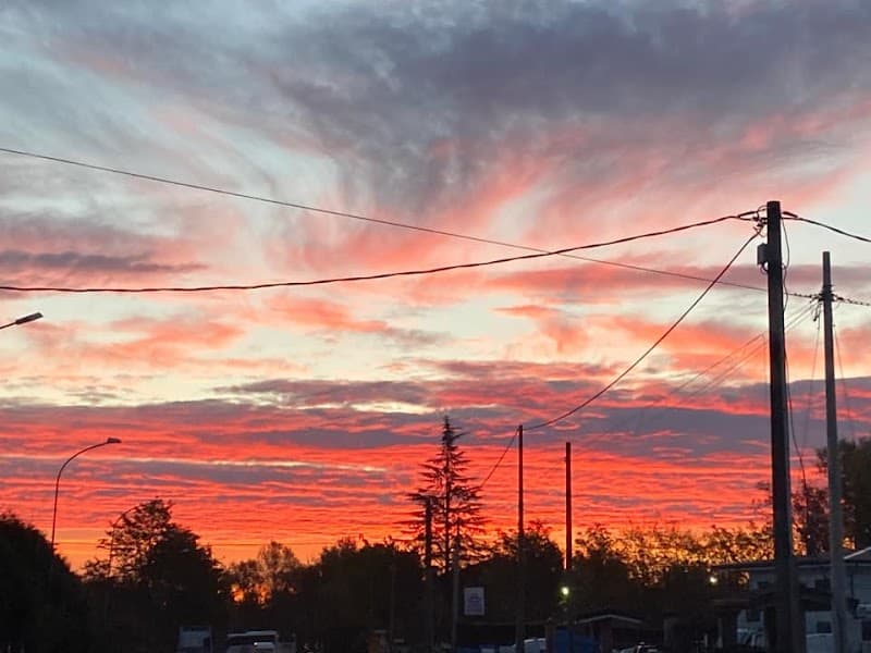 Immagine di Ortfruit Sicilia di Pace Vincenzo a Ribera, Sicilia