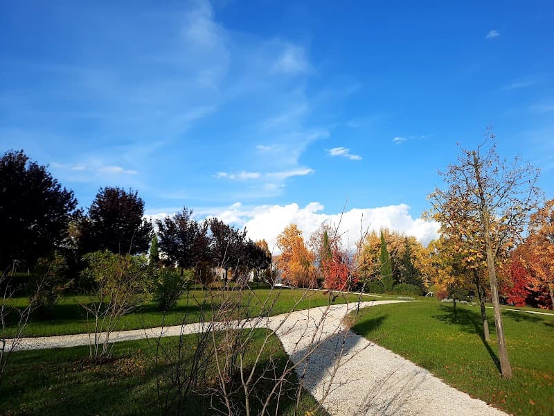Immagine di Azienda agricola biodinamica San Michele a Conegliano, Veneto
