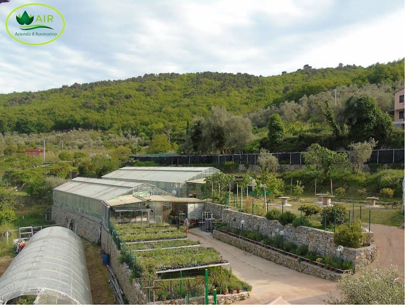 Immagine di Azienda agricola Il Rosmarino a San Biagio della Cima, Liguria