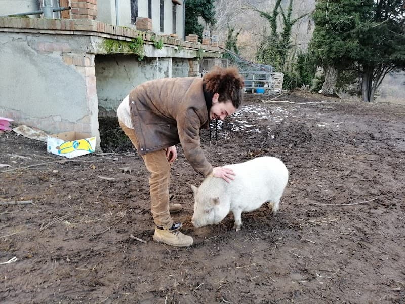 Fattoria Linfa