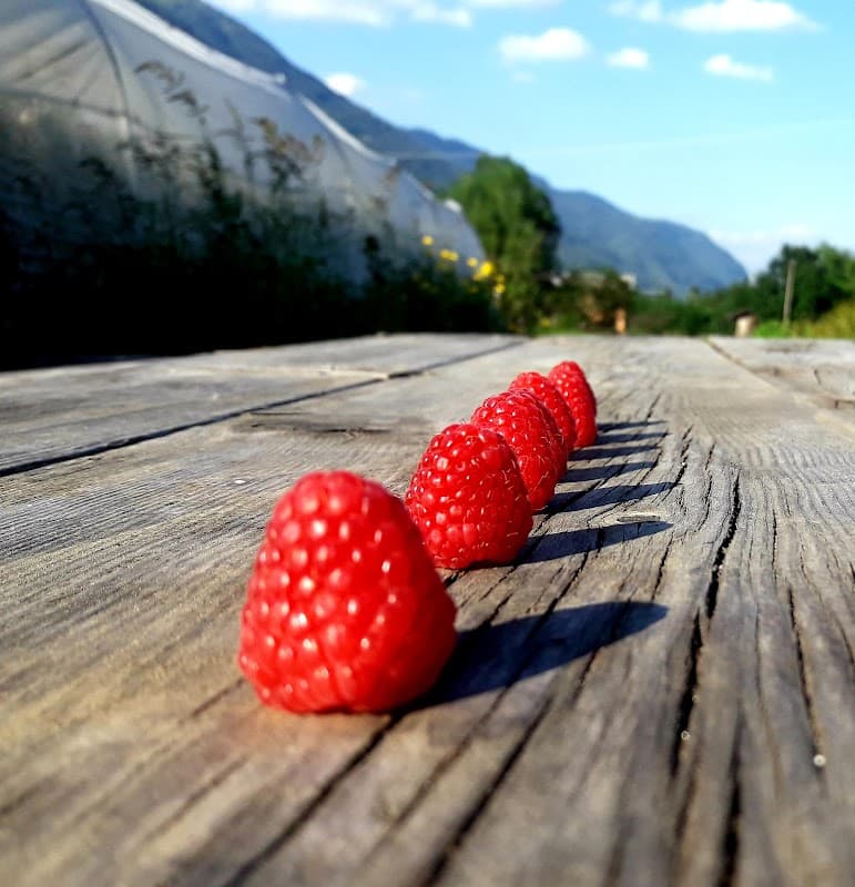 Immagine di Azienda agricola La Contenta - Piccoli frutti Dolomitici a Molini, Trentino-Alto Adige