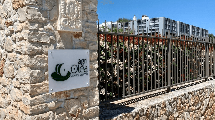 Immagine di Frantoio Oleario Agriolea, Olio Extra Vergine di Oliva a Ostuni, Puglia