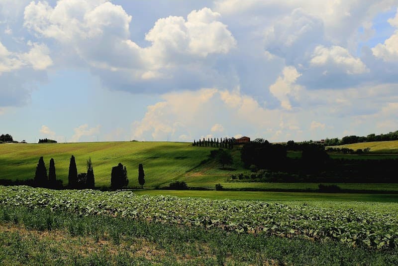 Immagine di Azienda Agricola Bittarelli Patrizio - FATTORIA DIDATTICA con RISTORO - Agri Ristorante - Vendita Fagiolina del Trasimeno a Vaiano, Umbria