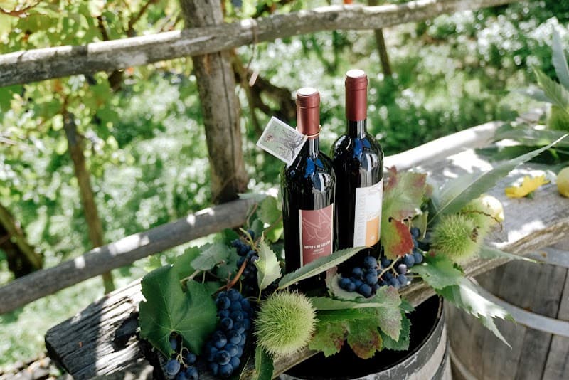 Immagine di Monte di Grazia Azienda Agricola Biologica a Maiori, Campania