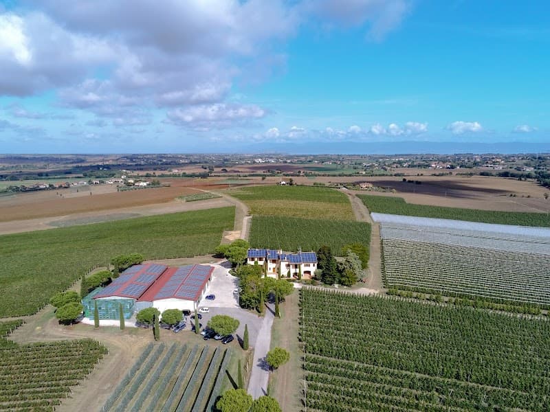 Immagine di Azienda Agricola Collazzone S.S. La Saporita a Paciano, Umbria