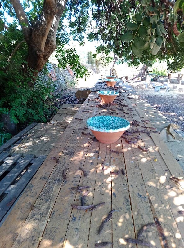 Immagine di Aromi Di Sicilia a Belvedere, Sicilia