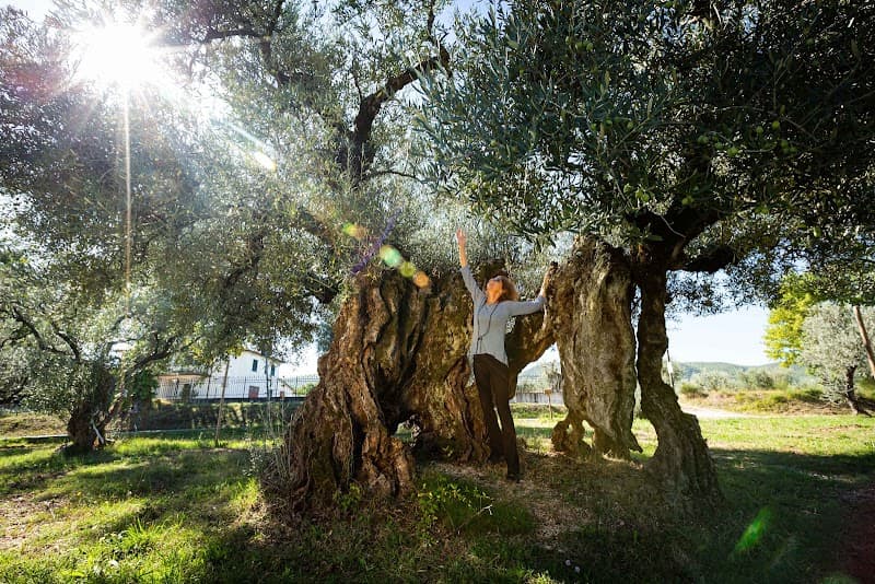 Immagine di Agricadd Società Agricola Srl - Oro di Giano a Giano Dell'Umbria, Umbria