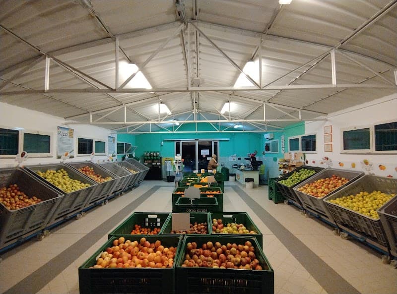 Immagine di Agricola Ricci a Marsciano, Umbria