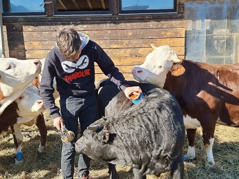 Immagine di Cascina Montfleury a Aosta, Valle d'Aosta