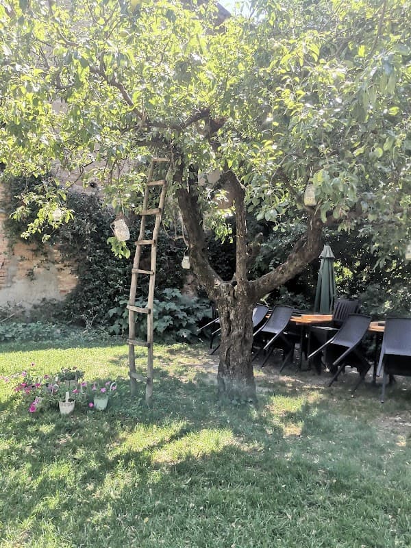 Immagine di Azienda Agricola Mignani a Bologna, Emilia-Romagna