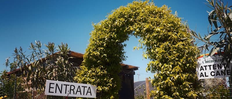 Immagine di Azienda Agricola e Vivaio L' Arcobaleno a San Tommaso Tre Archi, Marche
