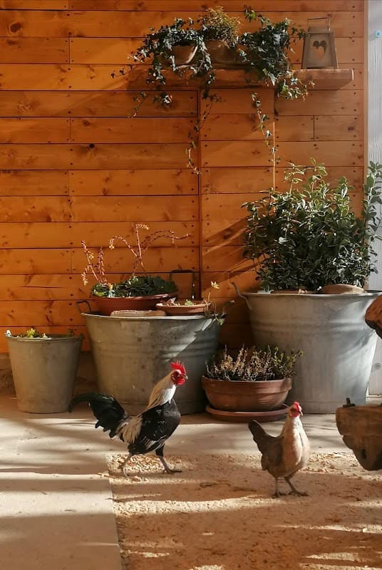 Immagine di BottegAgricola Mogliano Veneto a Casale Sul Sile, Veneto