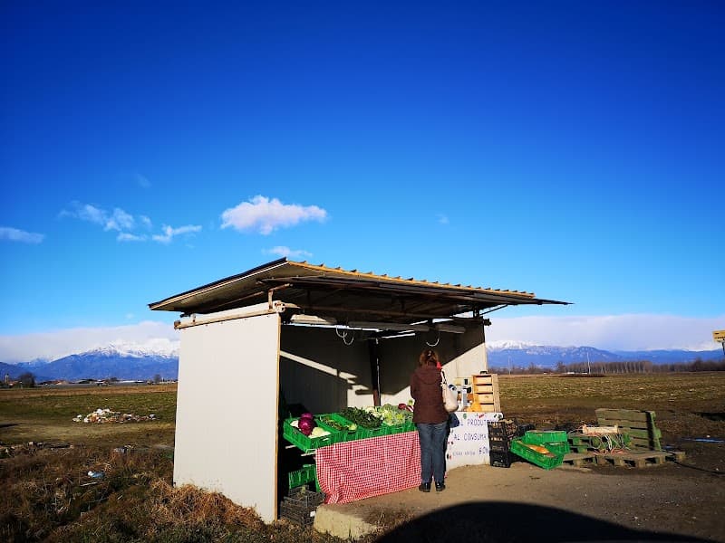 Immagine di L'orto di Vale - Azienda Agricola Bonino a Villafranca Piemonte, Piemonte