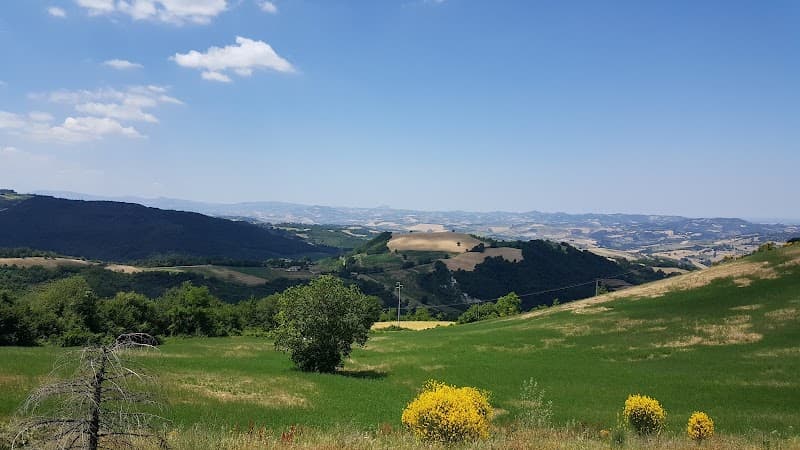 Immagine di Gino Girolomoni Cooperativa Agricola a Isola del Piano, Marche