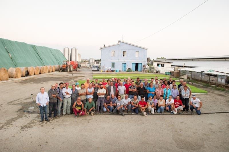 Immagine di Fattoria Di Vaira a Petacciato, Molise