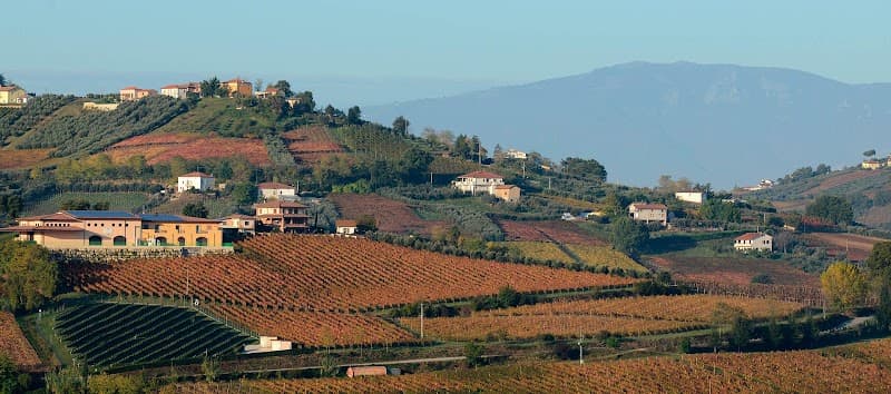 Immagine di Agricosimo Società Agricola a Santa Lucia, Abruzzo