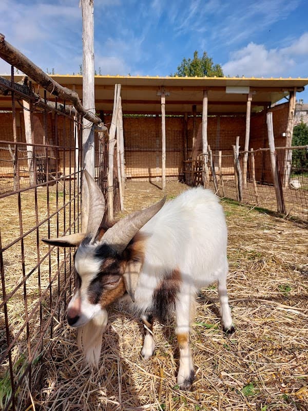 Azienda Agricola "Fattoria Marilù"