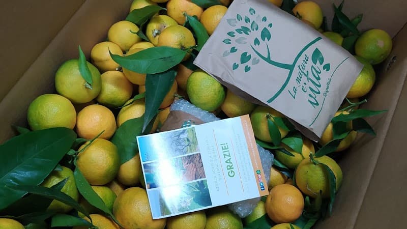 Immagine di GiardinoDigitale.it a Rossano Stazione, Calabria