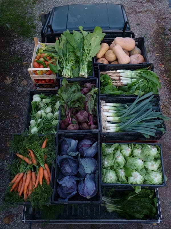 Immagine di Nicobio - coltivazione e vendita diretta ortaggi e frutta biodinamici a Lucca, Toscana