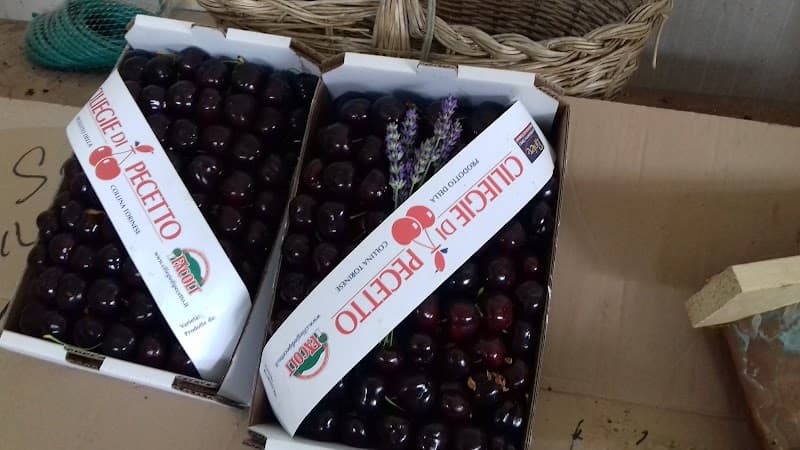 Immagine di Cascina Tabasso (Pecetto) a Torino, Piemonte