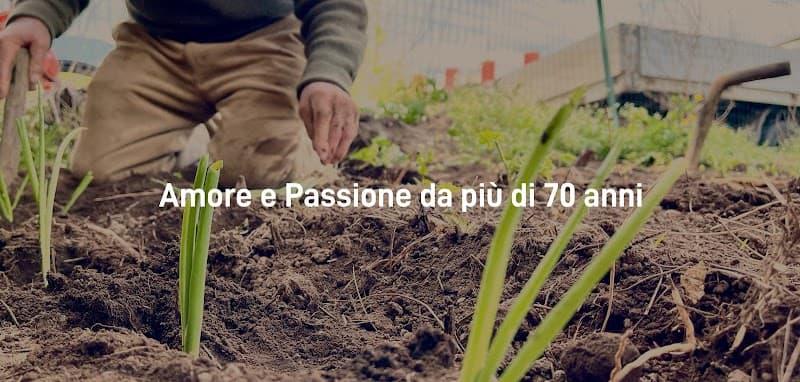Immagine di Azienda Agricola Massaro a Arpaia, Campania