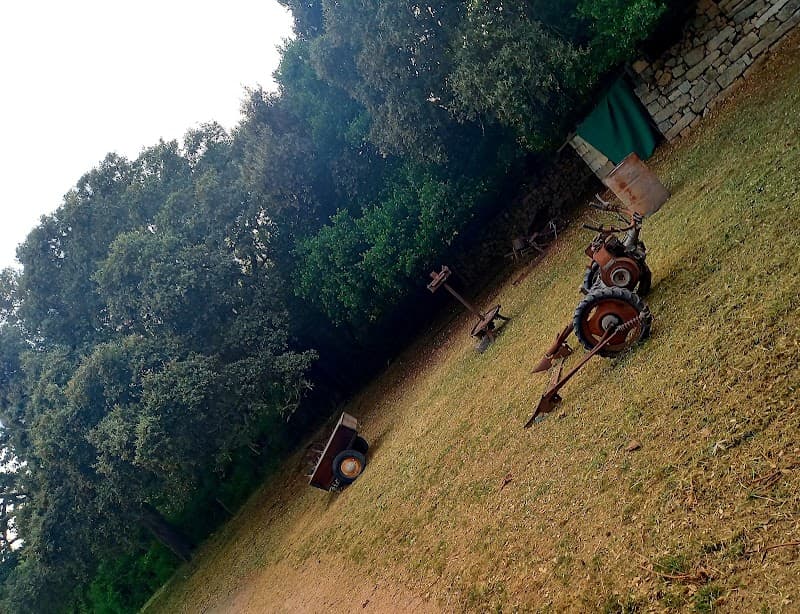 Immagine di Azienda agricola Veldidonna a Tempio Pausania, Sardegna