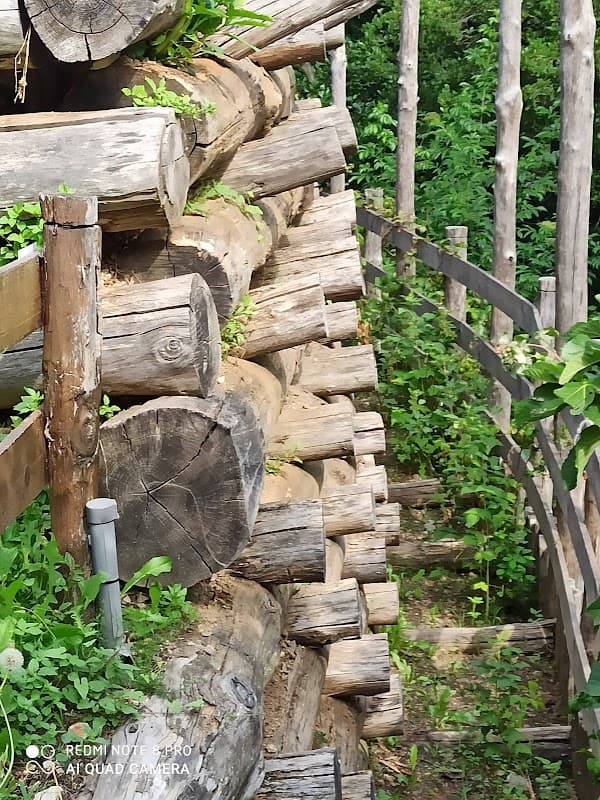 Immagine di AZIENDA AGRICOLA FANGIANO a Nocera Terinese, Calabria