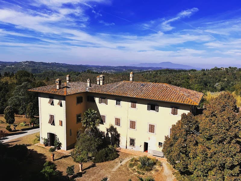 Immagine di Fattoria Collebrunacchi a Collebrunacchi, Toscana