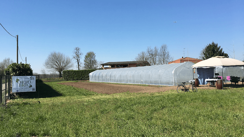 Immagine di Az. Agricola L’Orto Brio a Bernate Ticino, Lombardia
