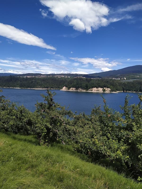 Immagine di Azienda Agricola Biologica Rossi Paolo a Avio, Trentino-Alto Adige