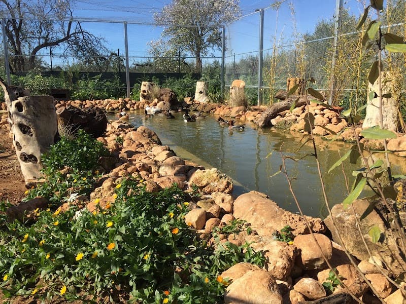 Immagine di Fattoria Bassa Corte a Ribera, Sicilia