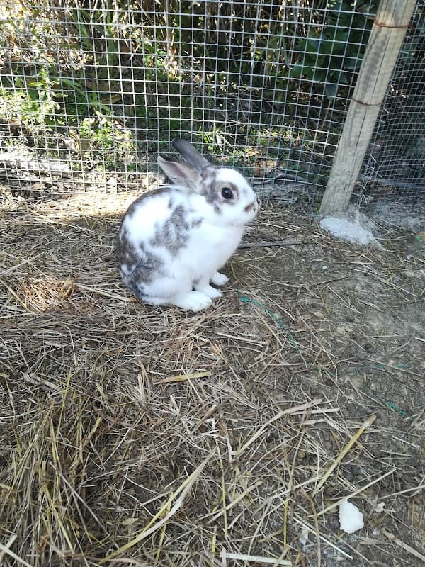 Immagine di Fattoria Biologica e Agricola La Quiete Del Rio S.S. a Cesena, Emilia-Romagna