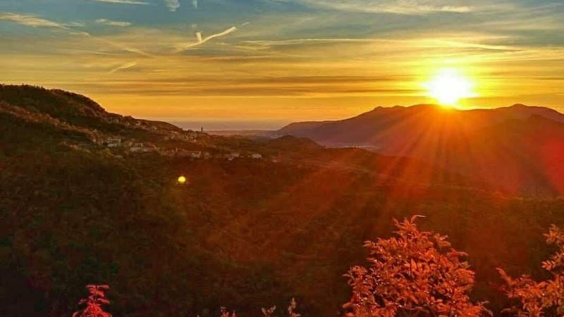Immagine di Azienda Agricola De Ferrari a Capitolo-costa, Liguria