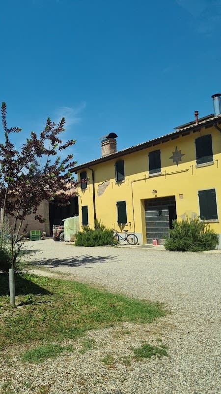 Immagine di Azienda agricola "Dario Braida" a Finale Emilia, Emilia-Romagna