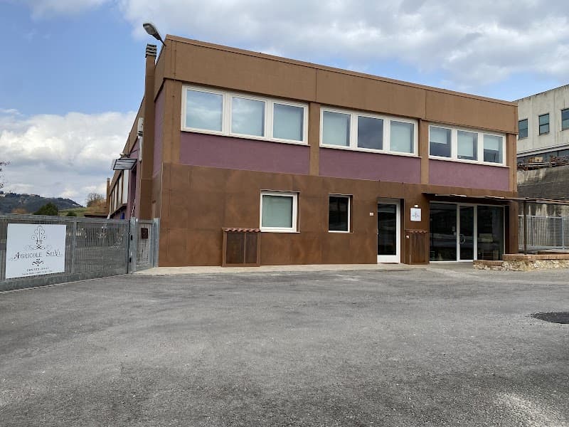 Immagine di Agricole Selvi srl a Firenze, Toscana