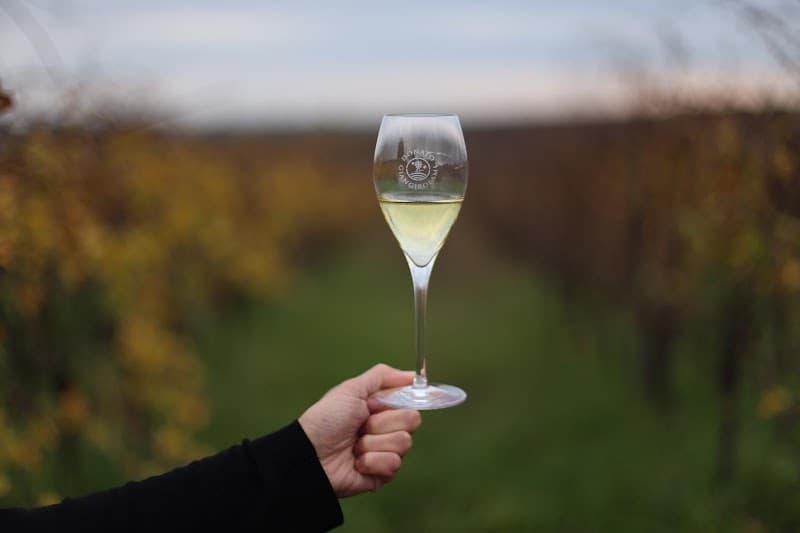 Immagine di Azienda Agricola Biologica di Donato Giangirolami a Latina, Lazio