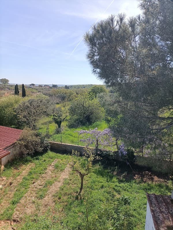 Immagine di AGRIOM Azienda Agricola di Orsini Mattia a Putignano, Puglia