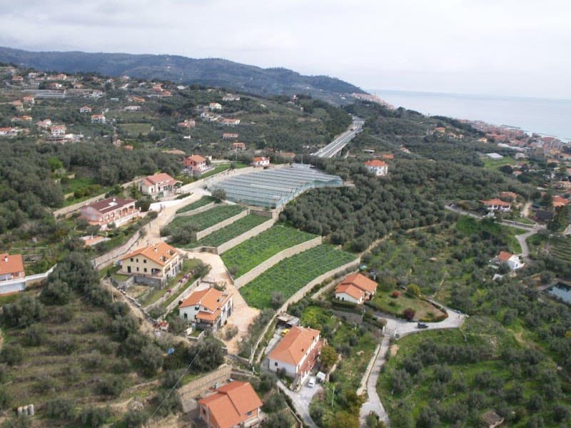 Immagine di Azienda Agricola e Agriturismo il Colle degli Ulivi a Diano Marina, Liguria