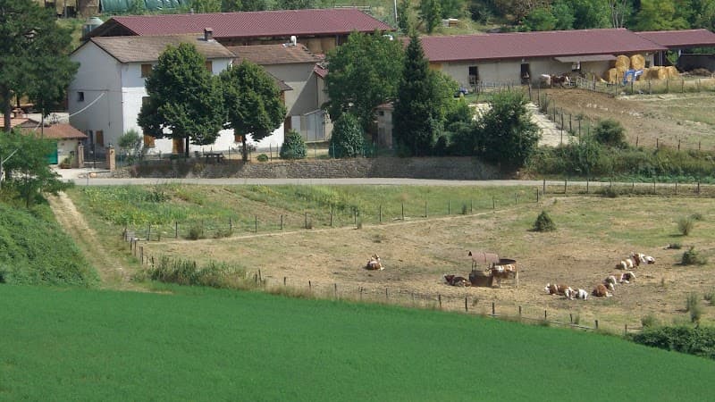 Azienda Agricola Biologica Bordona