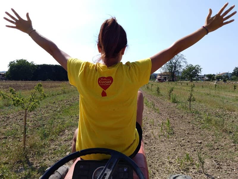 Immagine di FATTORIA CUORE CAPANNA a Sterpettine II, Marche