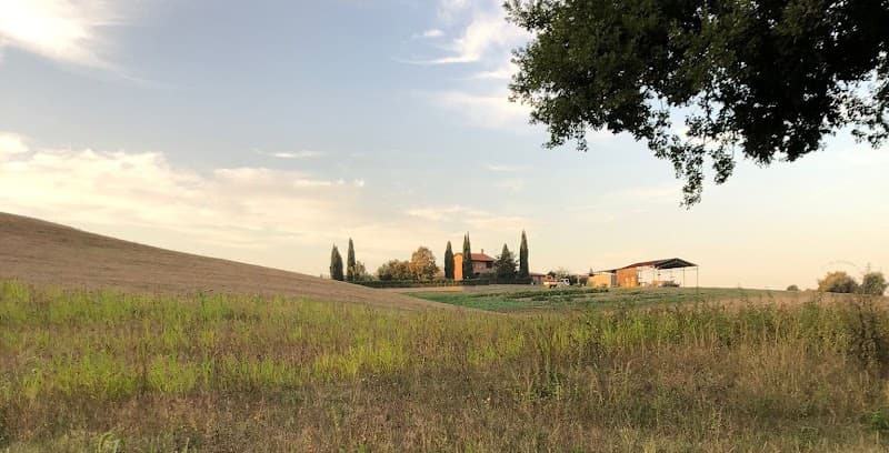 Immagine di Az. Agricola Biologica Brecciaroli SS a Roma, Lazio