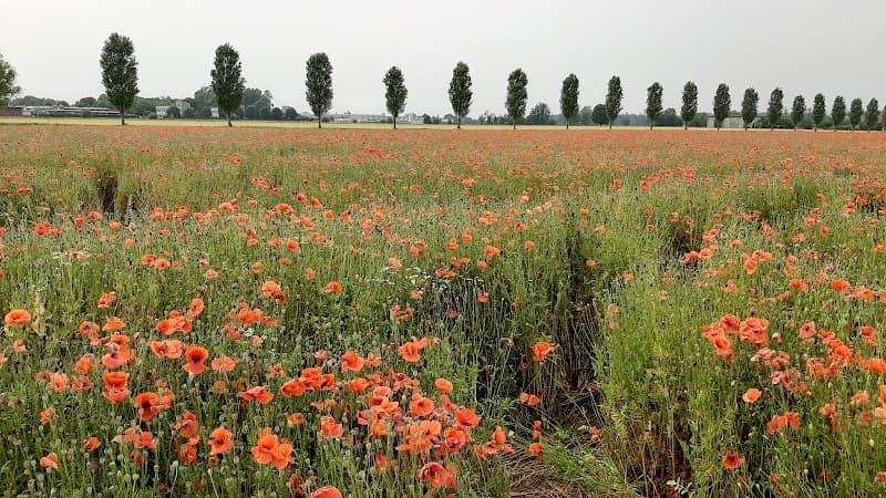 Immagine di A Ruota Libera - Agriturismo Fattoria Didattica a Premenugo, Lombardia