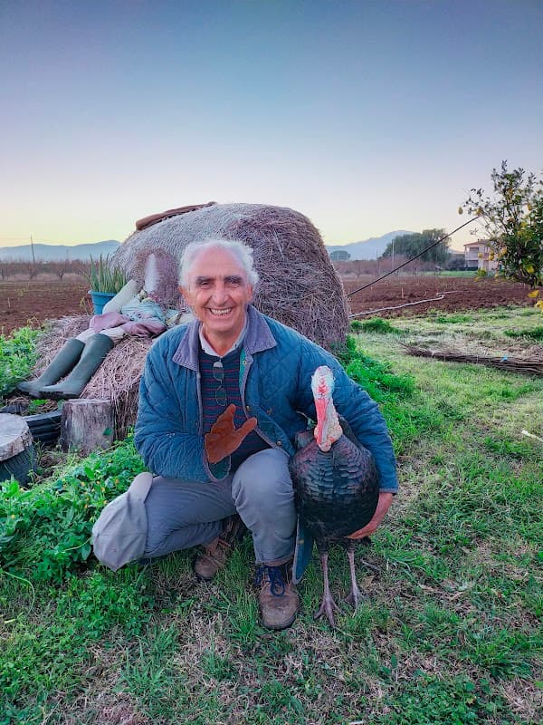 Immagine di Masseria Nivaldine Di Nicola Suriano a Matera, Basilicata